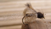 Caddis Emerging Pupa