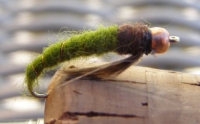 Caddis Larvae Tungsten