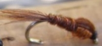 Pheasant Tail Copper 