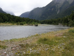 Worsley River Fiordland Worsley River Fiordland