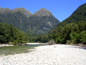 Fiordland - a secret stream Fiordland - a secret stream