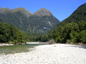 Fiordland - a secret stream