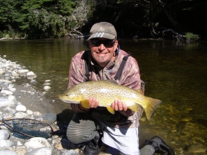 Another beautiful Brown