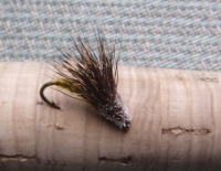 Streaking Caddis