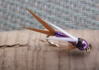 Prince Nymph Purple Tungsten Bead