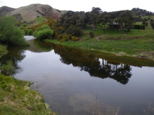 On the Waikouaiti