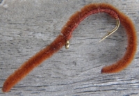 Mataura Worm