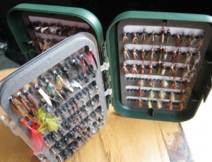 Completed selection of Flys